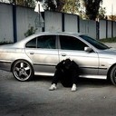 ���������� ������, ���� ������� �������, 41 ���, ������������ ��� ������, ����� � ���������, c�������� ���������