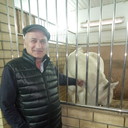  ,   , 55 ,   