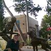  ,   Vic013, 76 ,   ,   , c 