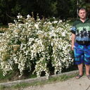 ���������� ��������, ���� ������� ����, 42 ����, ������������ ��� ������, ���������