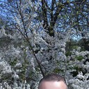  ,   Vovan, 43 ,   