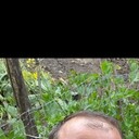  ,   Gela, 37 ,   ,   