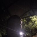 ���������� ������, ���� ������� �����, 38 ���, ������������ ��� ������, ����� � ���������