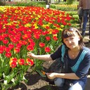 ���������� �����-���������, ���� ������� ���, 44 ����, ������������ ��� ����� � ���������, c�������� ���������