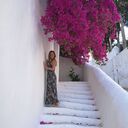 ���������� ������, ���� ������� �������, 37 ���, ������������ ��� ������, ����� � ���������, c�������� ���������