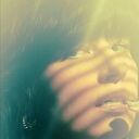 ���������� �������, ���� ������� ����, 43 ����, ������������ ��� ������, ����� � ���������, c�������� ���������, ���������