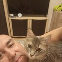  ,   , 49 ,   ,   , c , 