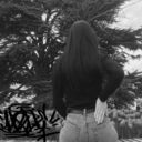 ���������� ������, ���� ������� �������, 23 ����, ������������ ��� ����� � ���������, c�������� ���������, ���������