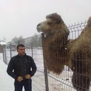 ���������� ������, ���� ������� ������, 43 ����, ������������ ��� ������, ����� � ���������, c�������� ���������