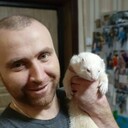 ���������� �����, ���� ������� �����, 36 ���, ������������ ��� ������, ����� � ���������, c�������� ���������, ���������