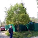  ,   , 43 ,   ,   