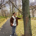 ���������� ������, ���� ����� Dips, 22 ����, ������������ ��� ������, ����� � ���������