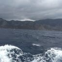 ���������� ����, ���� ����� ������, 23 ����, ������������ ��� ������, ����� � ���������