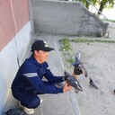  ,   , 39 ,   ,   , c 