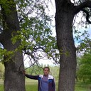  ,   , 37 ,   