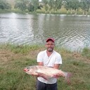 ���������� �������, ���� ������� �������, 42 ����, ������������ ��� ������, ����� � ���������, c�������� ���������