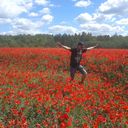  ,   Hesher, 39 ,  