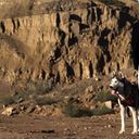 ���������� ����, ���� ������� �����, 35 ���, ������������ ��� ������