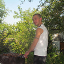 ���������� ������, ���� ������� ���������, 44 ����, ������������ ��� ������, ����� � ���������, c�������� ���������