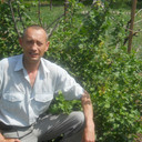 ���������� ������, ���� ������� ����, 49 ���, ������������ ��� ���������