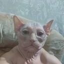  ,   , 36 ,   c 