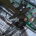 ���������� ����������, ���� ������� ����, 36 ���, ������������ ��� ������, ����� � ���������, c�������� ���������