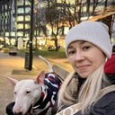 ���������� �����������, ���� ������� �����, 43 ����, ������������ ��� ����� � ���������, c�������� ���������