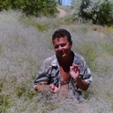 ���������� ���������, ���� ������� �����, 57 ���, ������������ ��� ������, ����� � ���������, c�������� ���������