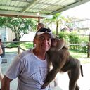  ,   , 51 ,   ,   , c 