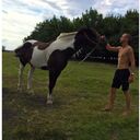 ���������� �������, ���� ������� �������, 27 ���, ������������ ��� ������, ����� � ���������