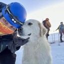 ���������� ���������, ���� ������� ������, 38 ���, ������������ ��� c�������� ���������