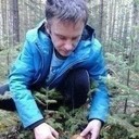  ,   Dimon, 43 ,   ,   , c 