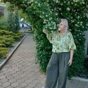  ,   , 50 ,   c 