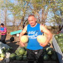  -,   Mersedes, 65 ,   