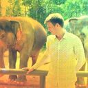 ���������� �����-���������, ���� ������� �������, 35 ���, ������������ ��� ������, ����� � ���������, c�������� ���������, ���������