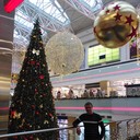 ���������� ������, ���� ������� ������, 39 ���, ������������ ��� ������, ����� � ���������, c�������� ���������