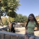  ,   , 27 ,   ,   , c 