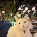 ���������� ������, ���� ������� Taher, 46 ���, ������������ ��� ������, ����� � ���������, c�������� ���������, ���������