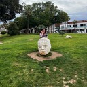  ,   , 49 ,   ,   , 