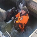 ���������� ������, ���� ������� �����, 44 ����, ������������ ��� ������, ����� � ���������