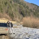 ���������� ��������������, ���� ������� ������, 37 ���, ������������ ��� ������, ����� � ���������