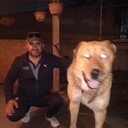 ���������� ������, ���� ������� ������, 50 ���, ������������ ��� ������, ����� � ���������, c�������� ���������