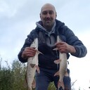 ���������� ����, ���� ������� ������, 53 ����, ������������ ��� ����� � ���������, c�������� ���������