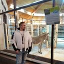 ���������� ������, ���� ������� �������, 43 ����, ������������ ��� ������, ����� � ���������