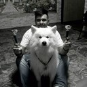  ,   , 33 ,   