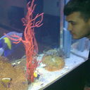  ,   Akysh, 40 ,   ,   , c , 