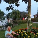  ,   , 48 ,  