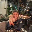 ���������� ������, ���� ������� �������, 38 ���, ������������ ��� ������, ����� � ���������, c�������� ���������, ���������