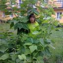  ,   DIANA, 33 ,     , c 