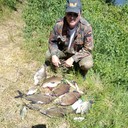 ���������� Halle, ���� ������� ��������, 55 ���, ������������ ��� ������, ����� � ���������, c�������� ���������, ���������